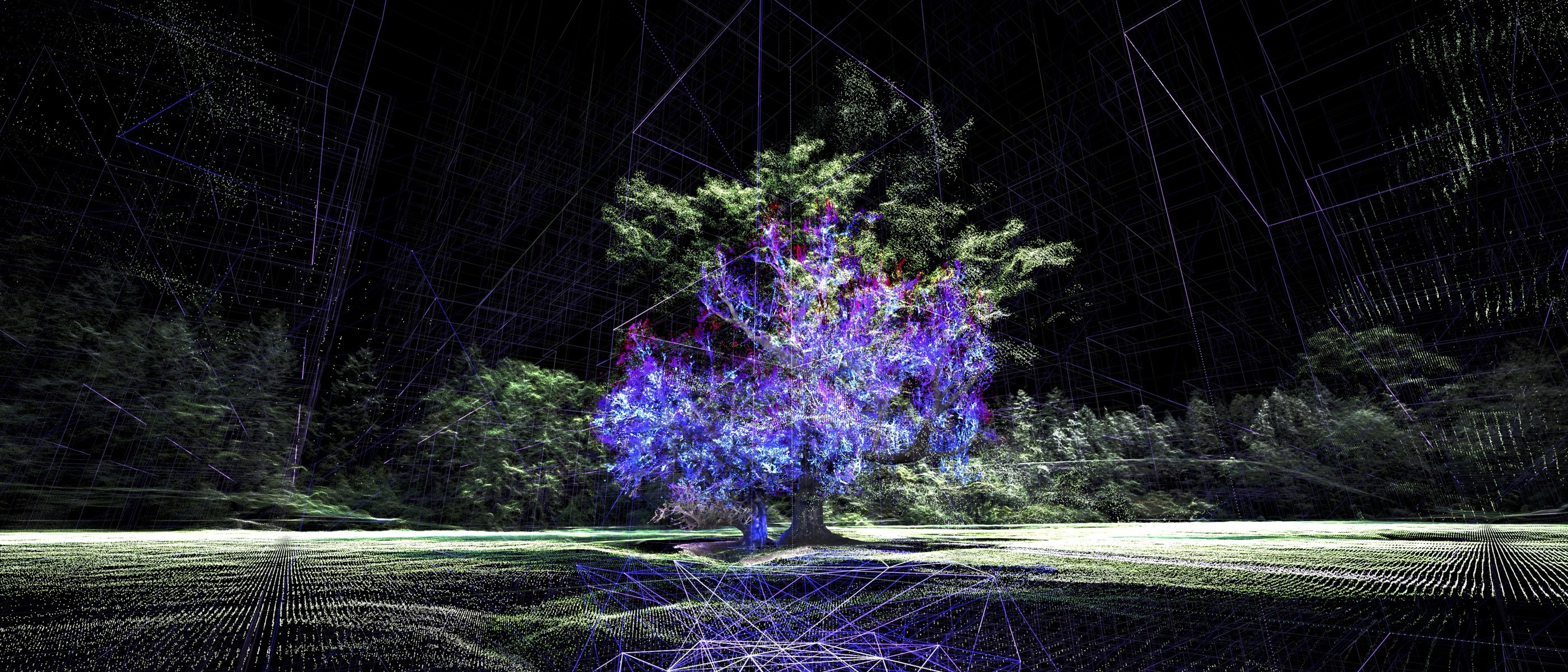 Infinite Space — LiDAR scan of an oak tree in Průhonice Park, rendered as blue-violet particles with wireframe ground mesh